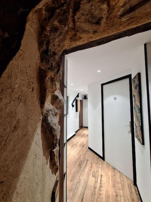 Le Perchoir De L'Empereur Apartment Orleans Exterior photo